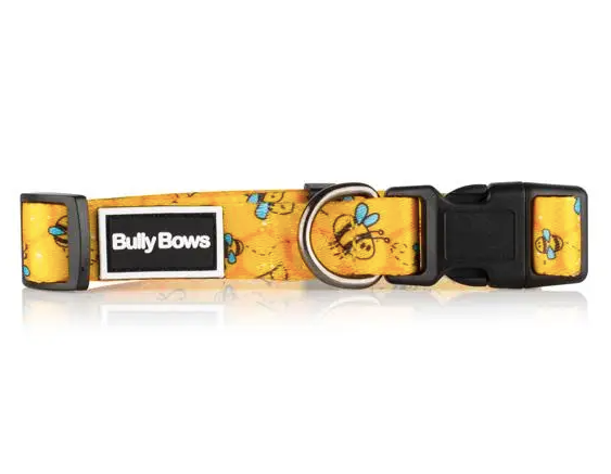 Bumble Bee Dog Collar - Yellow - Bee Pet Collar