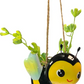 Mini Bee & Ladybug Hanging Planters