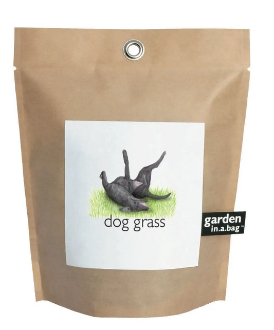 Garden in a Bag | Dog Grass