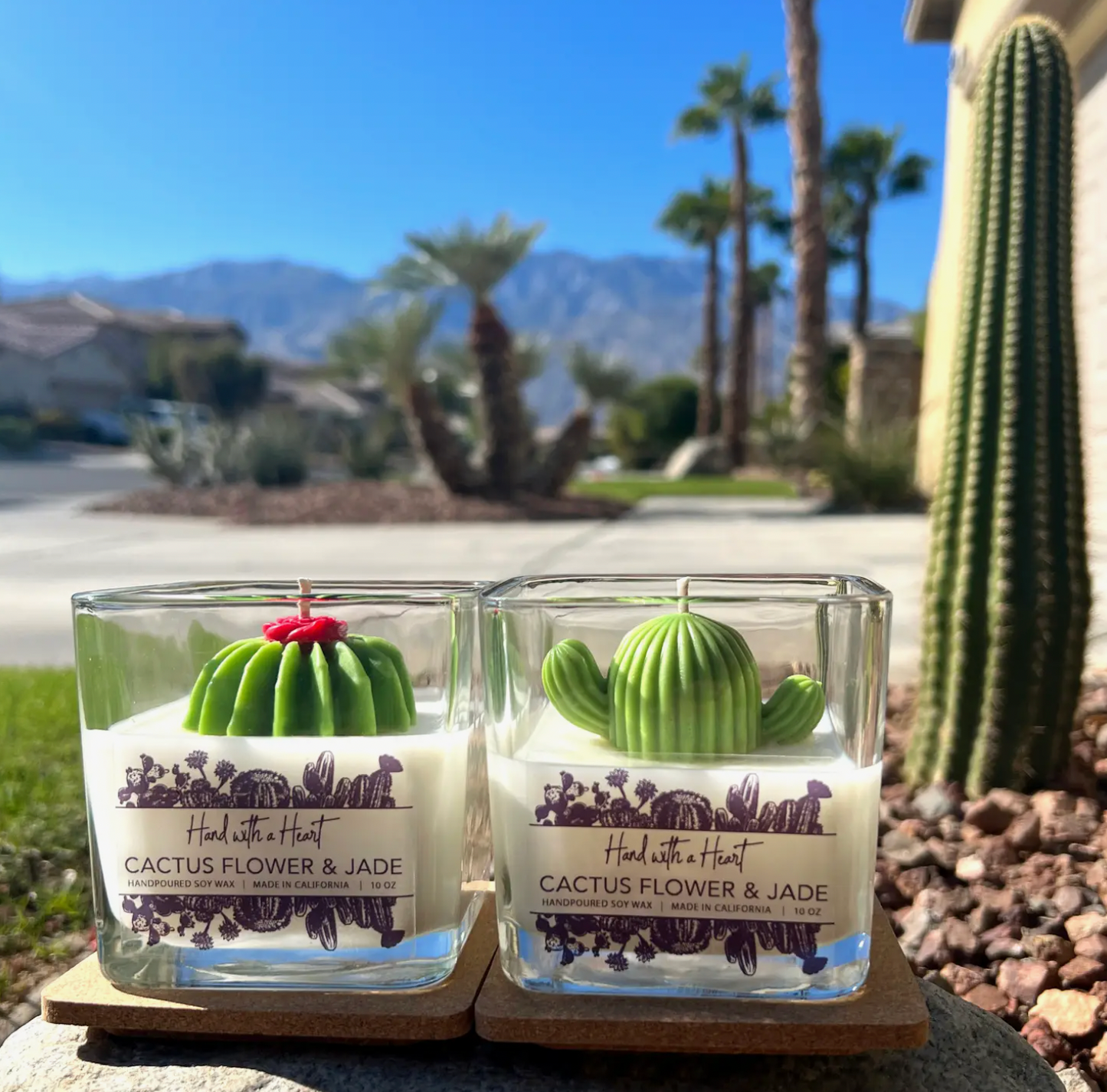 Cactus flower & Jade Soy Wax Candle