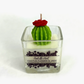 Cactus flower & Jade Soy Wax Candle 2.5oz