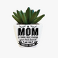 Artificial Succulent - A MOM is your first friend…